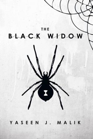Cover of the book The Black Widow by Adriaan Lens Van Rijn
