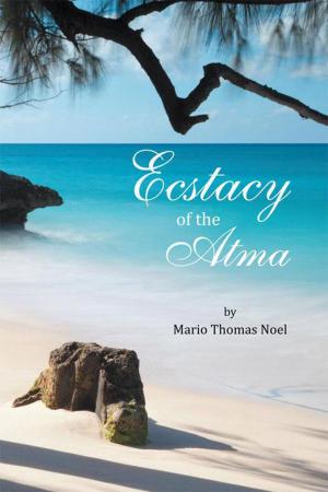 Cover of the book Ecstacy of the Atma by Edie Jean Burnside-Edwards