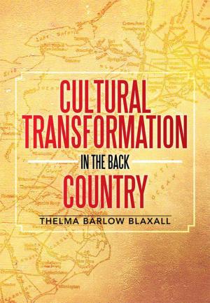 Cover of the book Cultural Transformation in the Back Country by Michael Levin MD