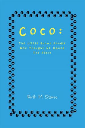 Cover of the book Coco: the Little Brown Poodle Who Thought He Owned the Place by Robert F. Cox