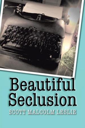 Cover of the book Beautiful Seclusion by Shelly Rybak-Pearson