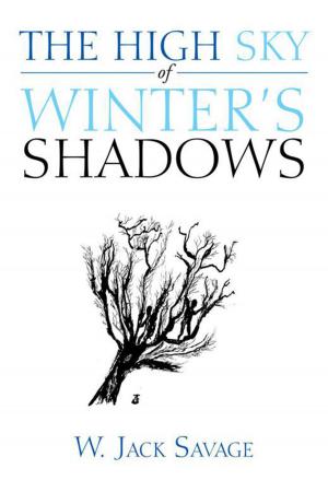 Book cover of The High Sky of Winter's Shadows