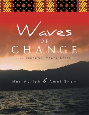 Cover of the book Waves of Change by Ian Newbegin