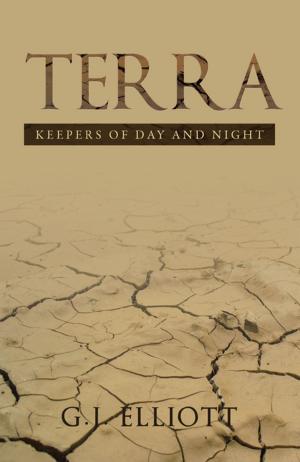 Cover of the book Terra by D B Hansen