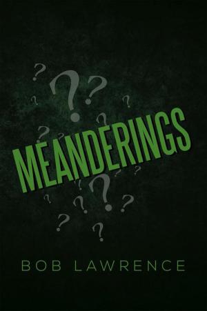 Cover of the book Meanderings by Joseph Nordmann