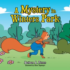 bigCover of the book A Mystery in Winters Park by 