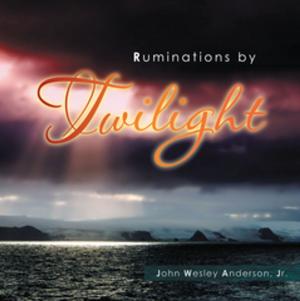 Cover of the book Ruminations by Twilight by Rabbi Steven Carr Reuben