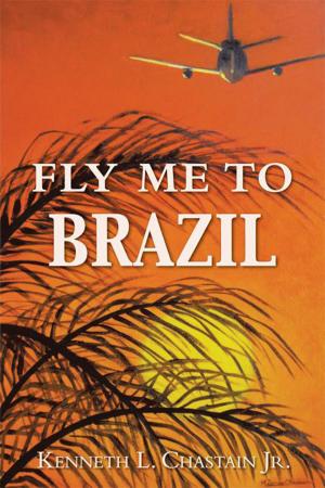Cover of the book Fly Me to Brazil by Ricardo Lebrija