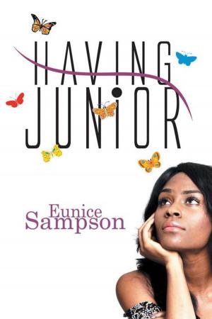 Cover of the book Having Junior by Inga Borga Hedvik