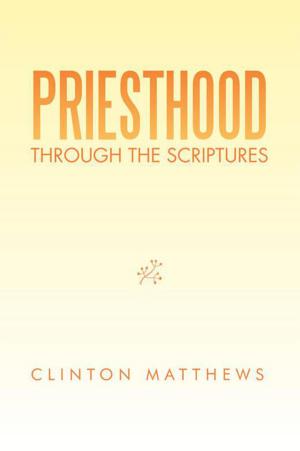 Cover of the book Priesthood Through the Scriptures by James William Kelly Jr.