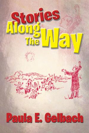 Cover of the book Stories Along the Way by Beverly Barna