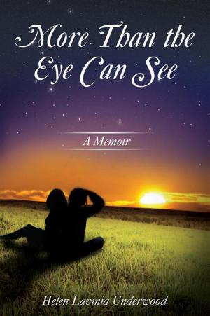 bigCover of the book More Than the Eye Can See by 