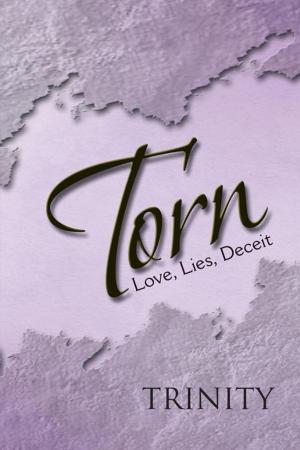 Cover of the book Torn by Christopher Brown