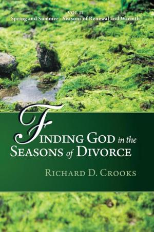 Book cover of Finding God in the Seasons of Divorce