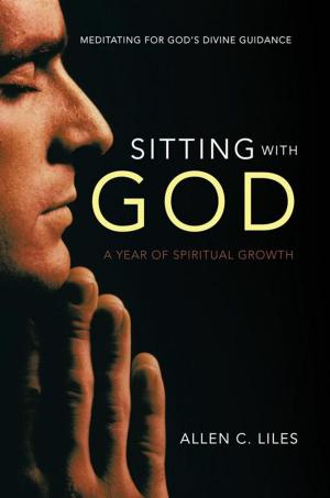 Cover of the book Sitting with God by D. E. McReynolds