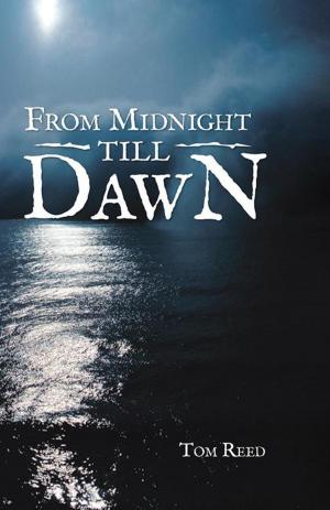 Book cover of From Midnight Till Dawn