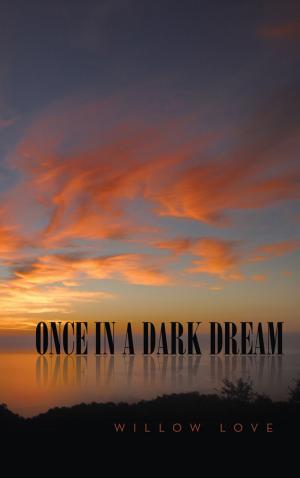 Book cover of Once in a Dark Dream