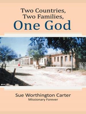 Cover of the book Two Countries, Two Families, One God by C. D. Cubb