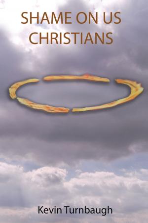 Cover of the book Shame on Us Christians by Brian Franks