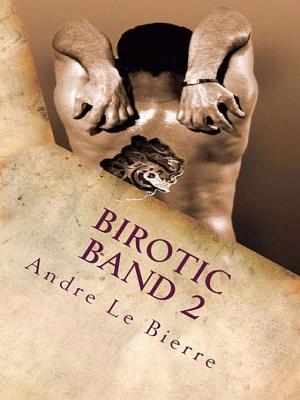 Book cover of Birotic Band 2