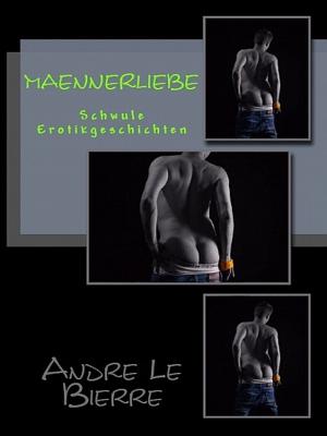 Cover of the book Männerliebe by Andre Le Bierre