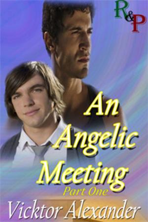 Book cover of An Angelic Meeting