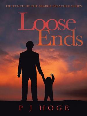 Cover of the book Loose Ends by Donna Marie Robie