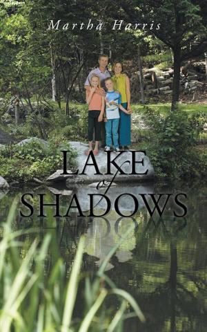 Cover of the book Lake of Shadows by Irakli Kovzanadze