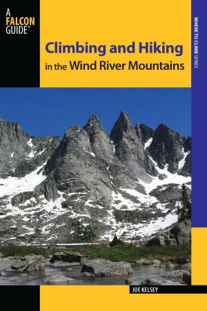 Cover of the book Climbing and Hiking in the Wind River Mountains by Tracy Salcedo