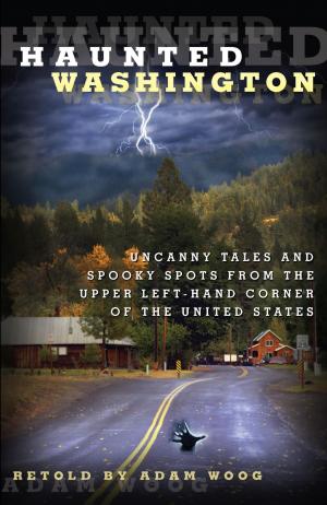 Cover of the book Haunted Washington by Sharon Cavileer