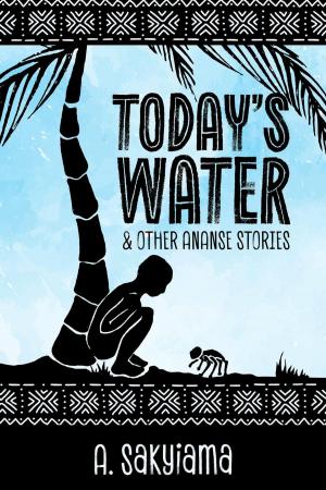 Book cover of Today's Water and Other Ananse Stories