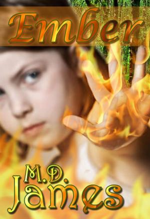 Cover of the book Ember by Matt Zachary