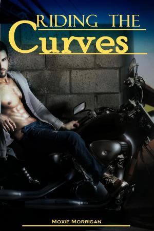Cover of Riding the Curves (vampire, BBW, erotica)