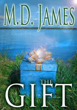 Cover of the book The Gift by Catie Rhodes