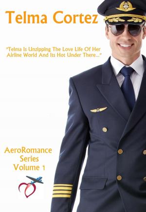 Cover of the book AeroRomance Series Volume 1 by P. Dangelico