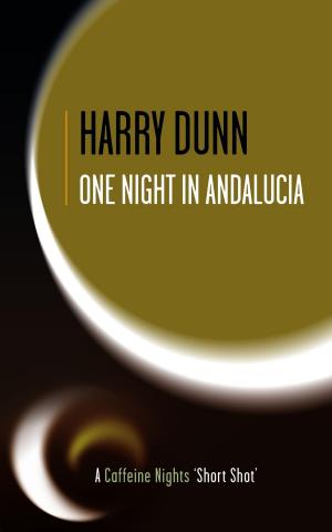 Cover of the book One Night in Andalucia by Steve Gerlach