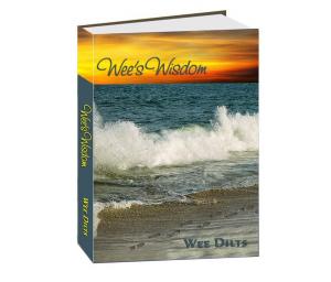 Book cover of Wee's Wisdom