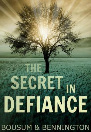 Cover of the book The Secret in Defiance by Linda Tiernan Kepner
