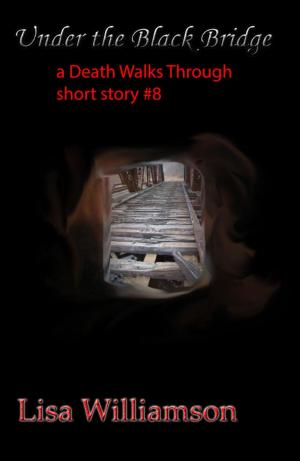 Book cover of Under the Black Bridge