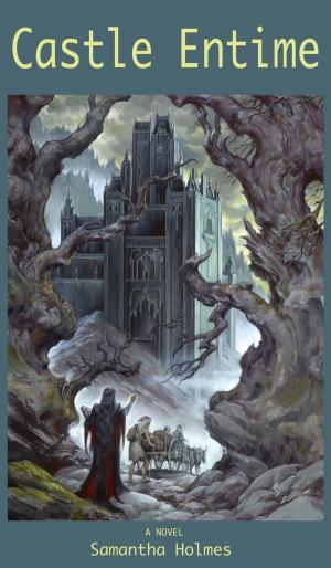 Cover of the book Castle Entime by Lauren Milner-Howells