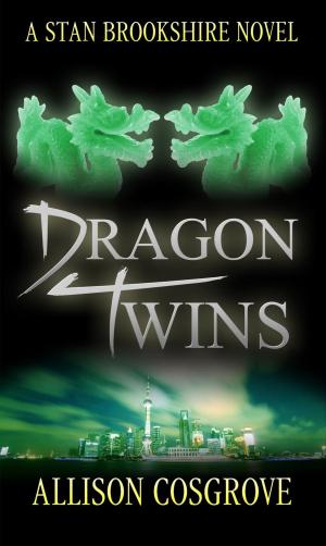 Cover of the book Dragon Twins by Ian Church