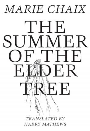 Cover of the book Summer of the Elder Tree by S D. Chrostowska