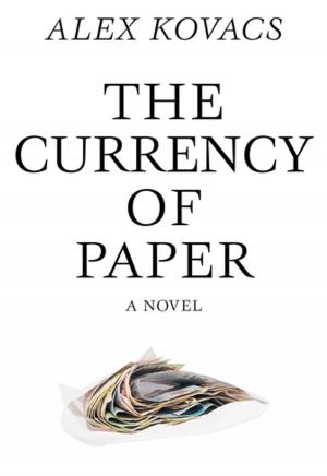 Cover of the book Currency of Paper by Joao Almino