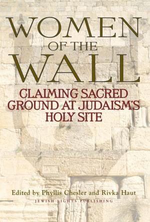 Cover of the book Women of the Wall by Steve Grenard