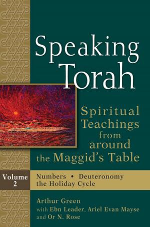 Cover of the book Speaking Torah Vol 2 by Rabbi Jill Jacobs