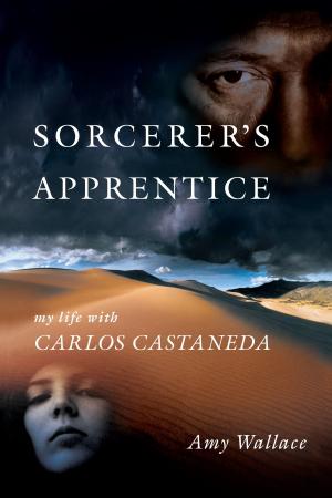 Book cover of Sorcerer's Apprentice