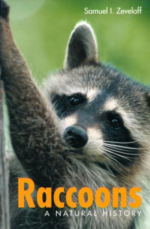 bigCover of the book Raccoons by 