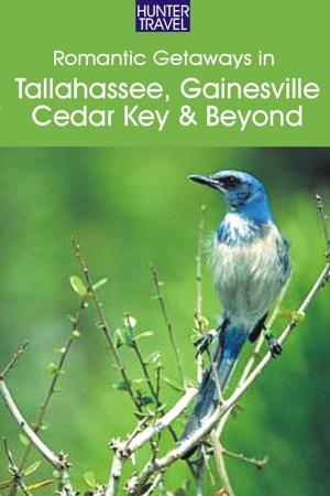 Cover of the book Romantic Getaways: Tallahassee, Gainesville, Cedar Key & Beyond by Jim  Nicol