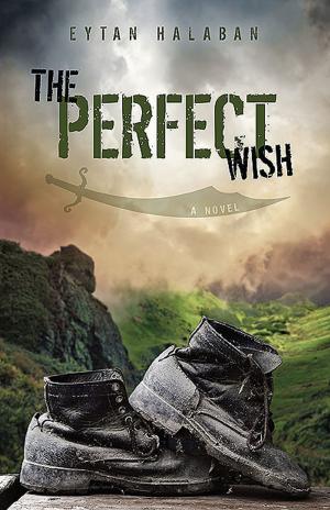 Cover of the book The Perfect Wish by Eytan Halaban