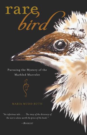 Cover of Rare Bird